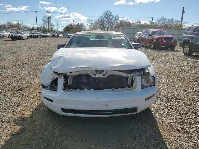 2008 Ford Mustang VIN: 1ZVHT84N885206922 Lot: 80555634