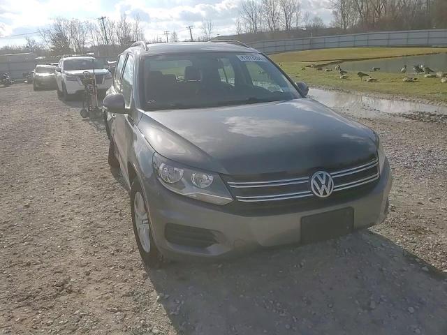 2016 Volkswagen Tiguan S VIN: WVGBV7AX7GW585838 Lot: 81073264