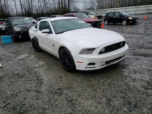 2014 Ford Mustang Gt VIN: 1ZVBP8CF6E5237568 Lot: 80705774