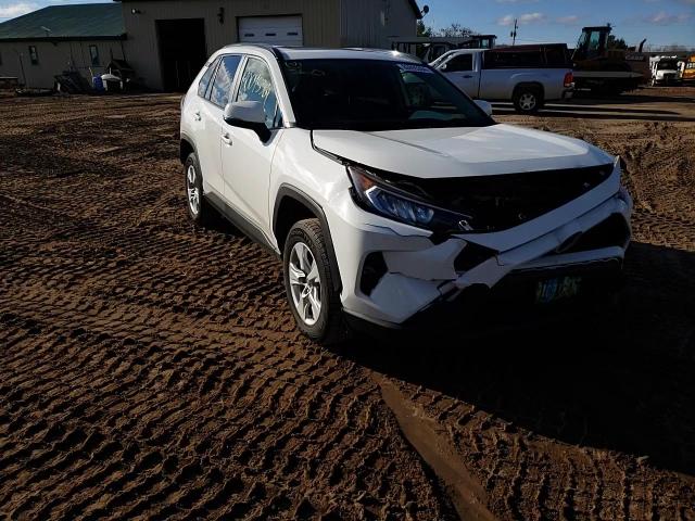 2019 Toyota Rav4 Xle VIN: JTMP1RFV1KD506029 Lot: 80095384