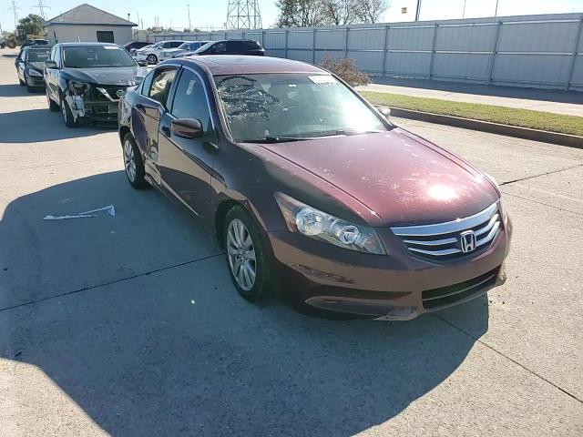 2011 Honda Accord - Image 11