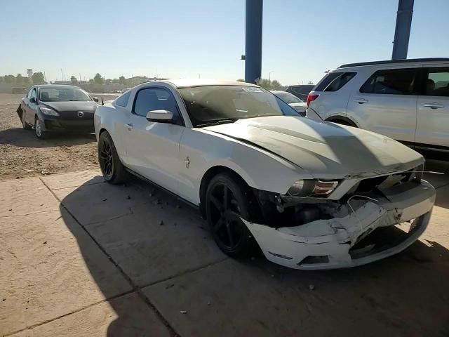 2012 Ford Mustang VIN: 1ZVBP8AMXC5232873 Lot: 81290454