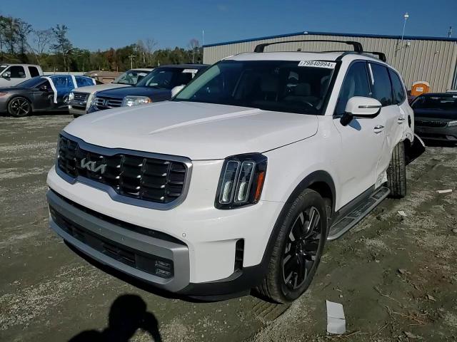 2023 Kia Telluride Sx VIN: 5XYP54GC0PG377813 Lot: 79840994