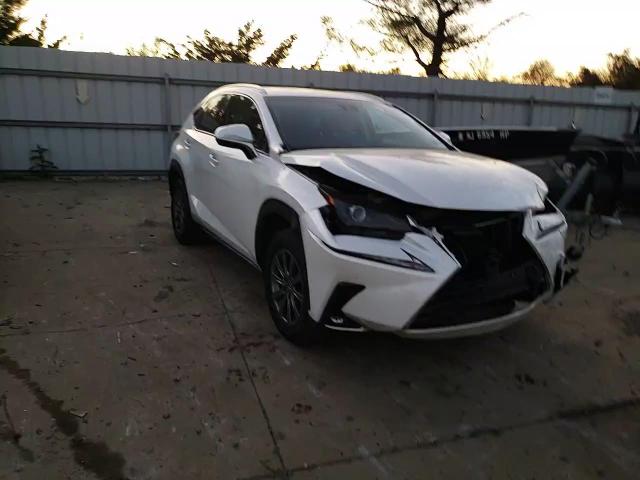 2019 Lexus Nx 300 Base VIN: JTJBARBZ8K2185179 Lot: 79053814