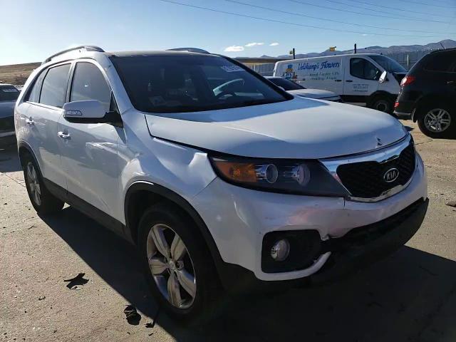 2013 Kia Sorento Ex VIN: 5XYKU4A23DG391889 Lot: 81197514