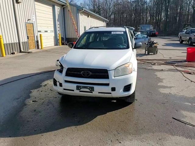 2012 Toyota Rav4 VIN: 2T3BF4DV9CW216546 Lot: 81621174