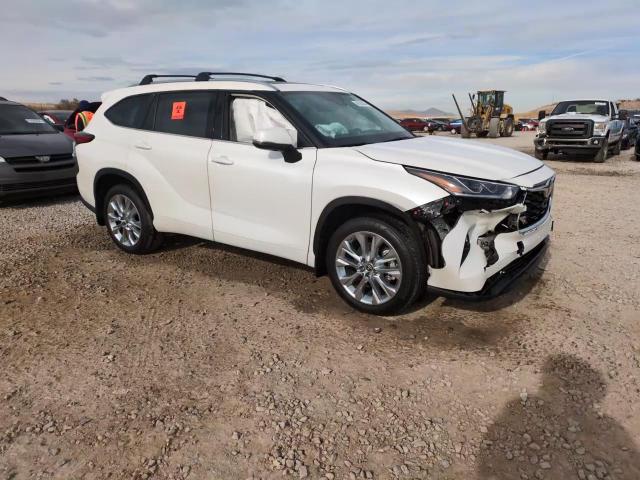 2020 Toyota Highlander Limited VIN: 5TDDZRBH4LS031137 Lot: 81550384