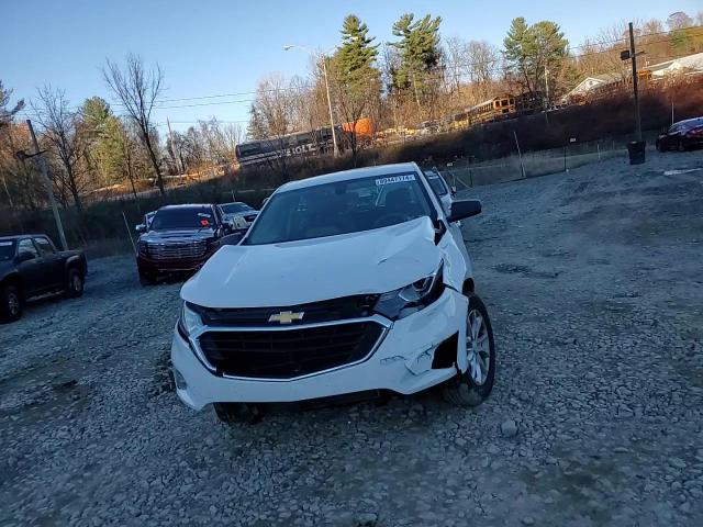 2019 Chevrolet Equinox Ls VIN: 2GNAXHEV6K6170061 Lot: 80447174