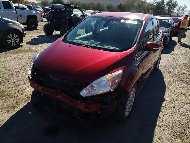 2014 Ford C-Max Premium VIN: 1FADP5CU0EL503967 Lot: 79231144