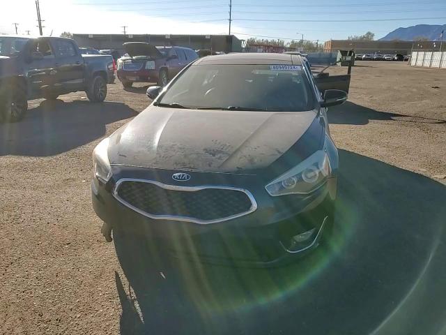 2016 Kia Cadenza Luxury VIN: KNALN4D73G5220806 Lot: 80949724