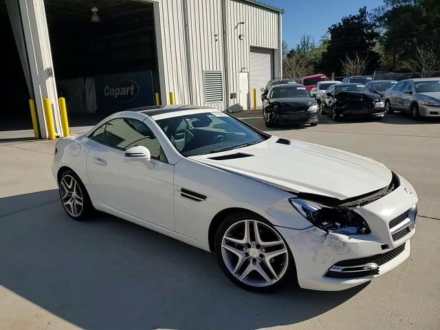 2013 Mercedes-Benz Slk 250 VIN: WDDPK4HA1DF067941 Lot: 81934424