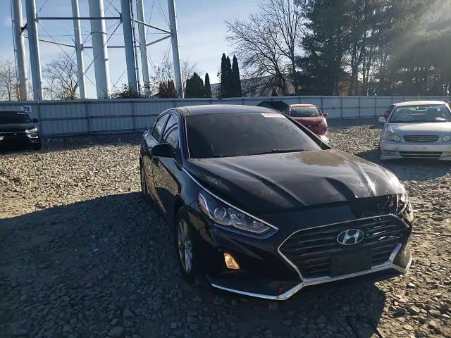 2019 Hyundai Sonata Se VIN: 5NPE24AF8KH812520 Lot: 81169754