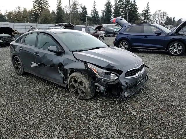 2019 Kia Forte Fe VIN: 3KPF24AD4KE126434 Lot: 81743964