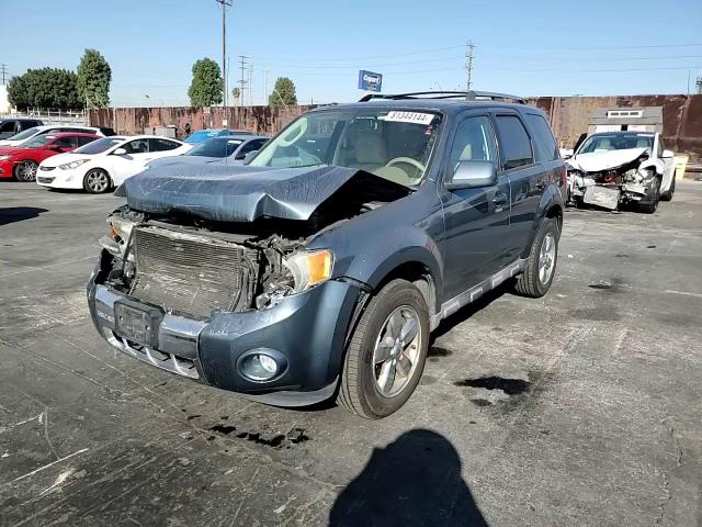 2010 Ford Escape Limited VIN: 1FMCU0EG2AKB64276 Lot: 81344144