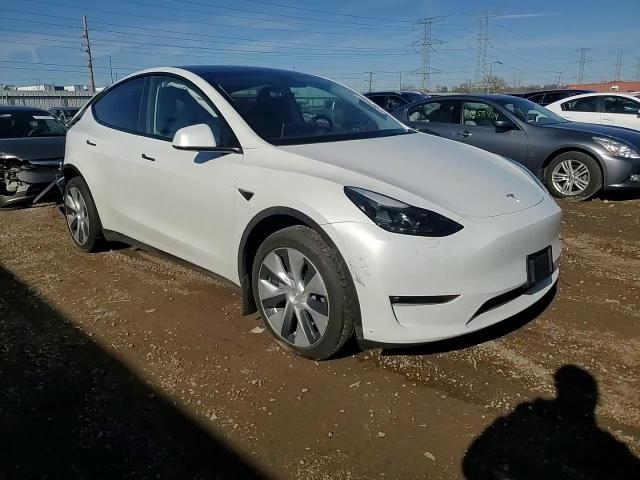 2023 Tesla Model Y VIN: 7SAYGDEE8PF749346 Lot: 79308324