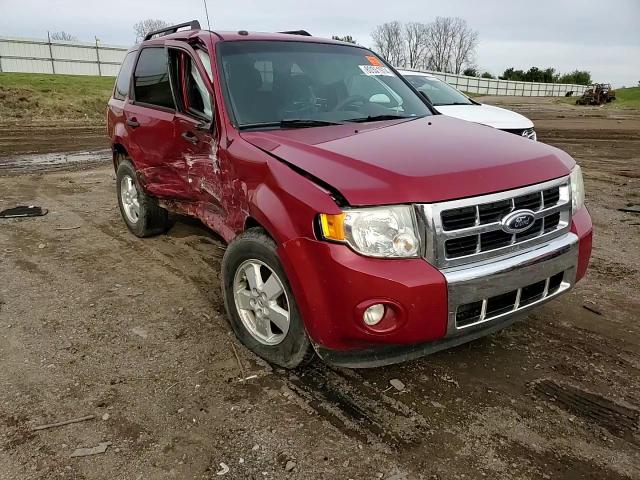 2011 Ford Escape Xlt VIN: 1FMCU9D76BKA76175 Lot: 80351974