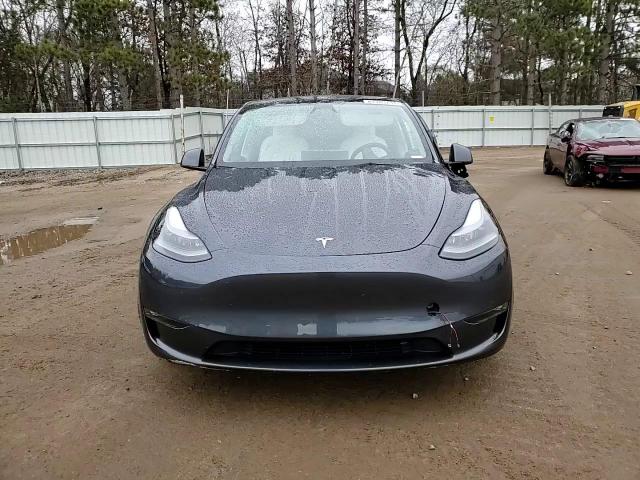 2023 Tesla Model Y VIN: 7SAYGDEF1PF865044 Lot: 81783734