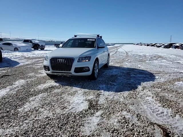 2013 Audi Q5 Premium VIN: WA1CFAFP8DA039063 Lot: 78017494