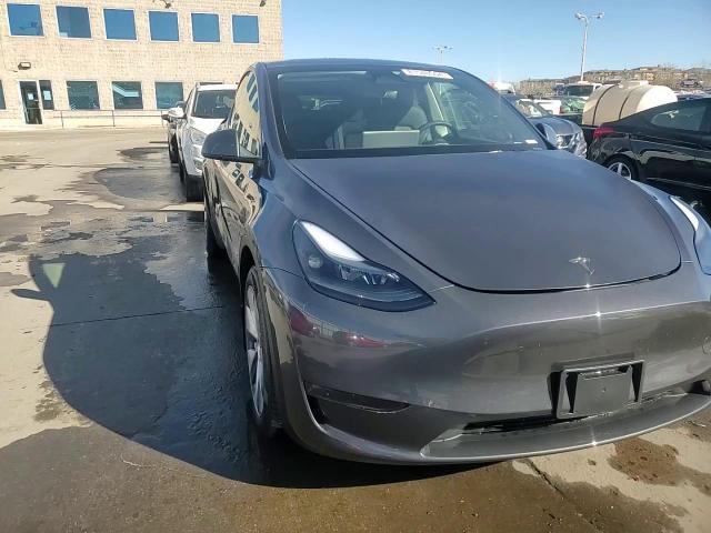 2023 Tesla Model Y VIN: 7SAYGDEEXPA206299 Lot: 81540504