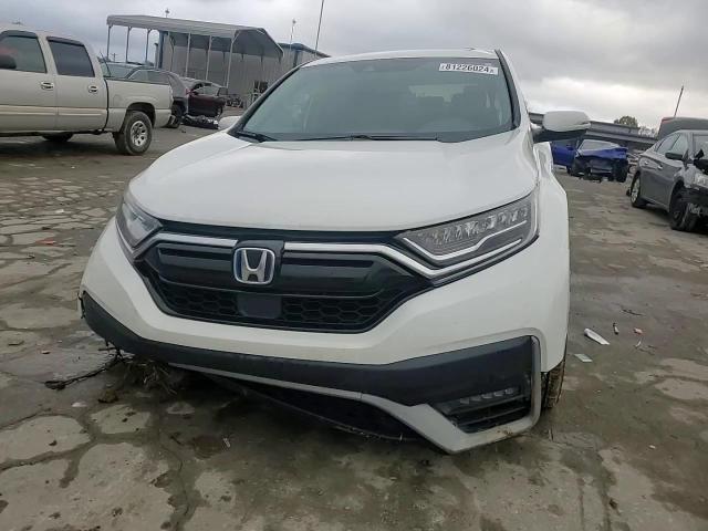 2020 Honda Cr-V Exl VIN: 7FART6H84LE021522 Lot: 81226024