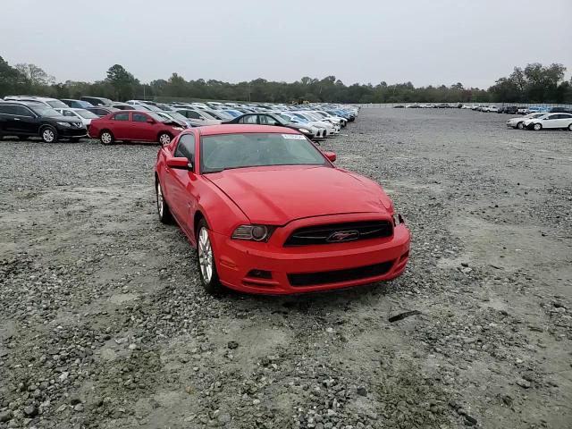 2013 Ford Mustang VIN: 1ZVBP8AM5D5231020 Lot: 81326454