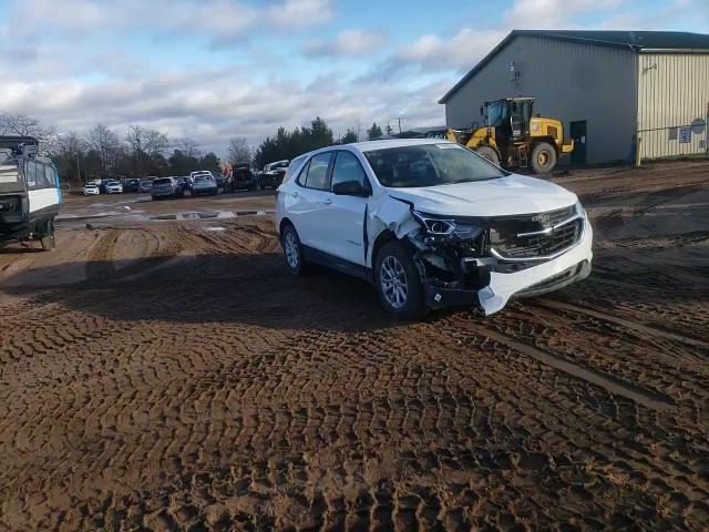 2019 Chevrolet Equinox Ls VIN: 3GNAXHEV8KS569684 Lot: 78909564