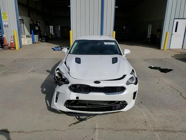 2018 Kia Stinger VIN: KNAE15LAXJ6013807 Lot: 79243324