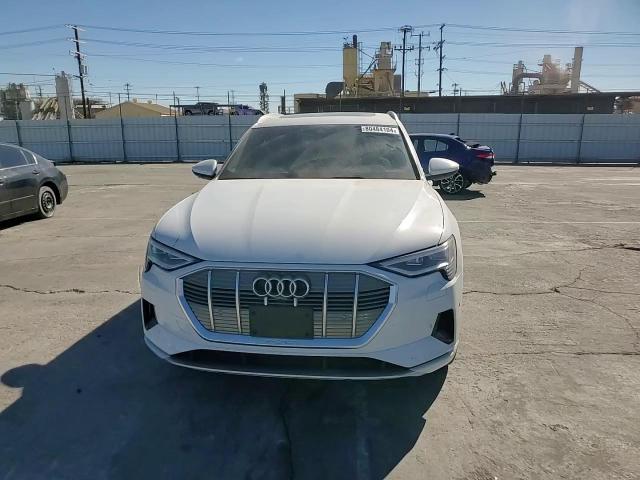 2021 Audi E-Tron Premium Plus VIN: WA1LAAGE6MB001790 Lot: 80484104