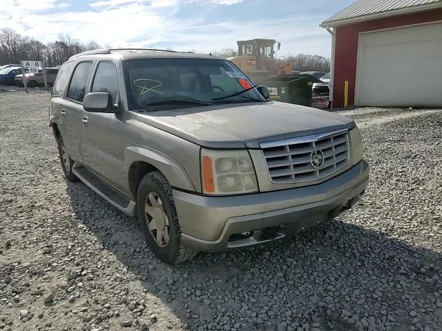 2002 Cadillac Escalade Luxury VIN: 1GYEC63T02R259005 Lot: 79027094