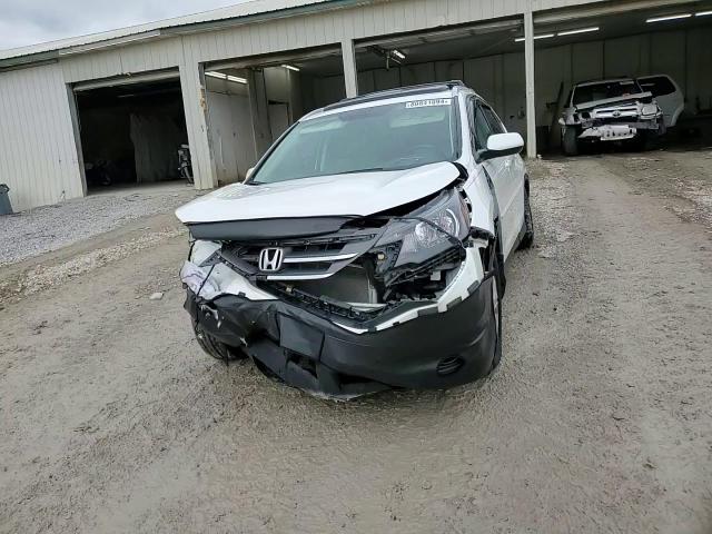 2014 Honda Cr-V Exl VIN: 5J6RM4H79EL065790 Lot: 80841094