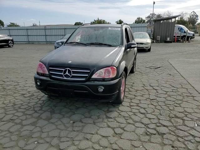 2002 Mercedes-Benz Ml 500 VIN: 4JGAB75E72A308691 Lot: 78956254