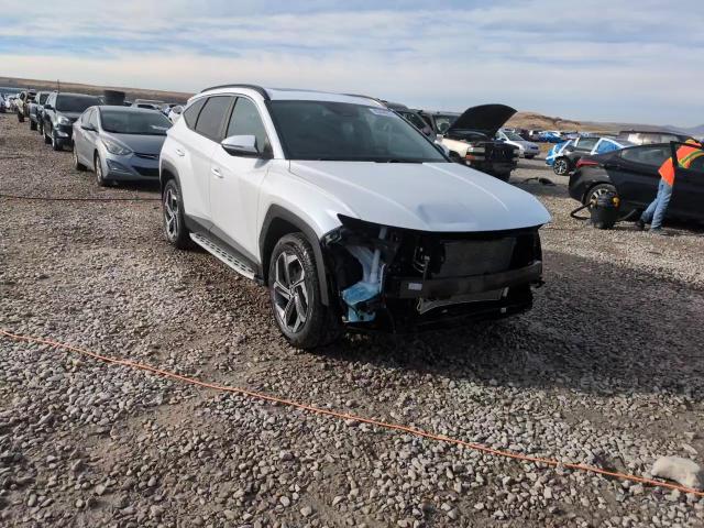 2022 Hyundai Tucson Sel VIN: 5NMJCCAE2NH113589 Lot: 80490834