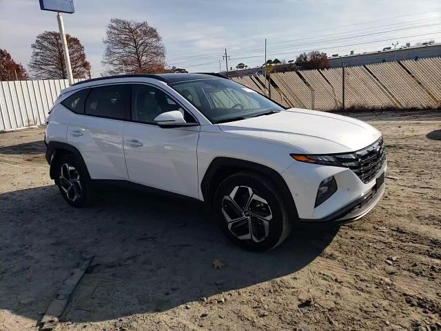 2023 Hyundai Tucson Limited VIN: 5NMJECAE8PH219140 Lot: 81113684