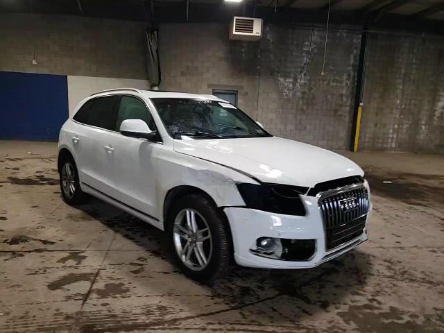 2014 Audi Q5 Premium Plus VIN: WA1LFAFP9EA049005 Lot: 80442964