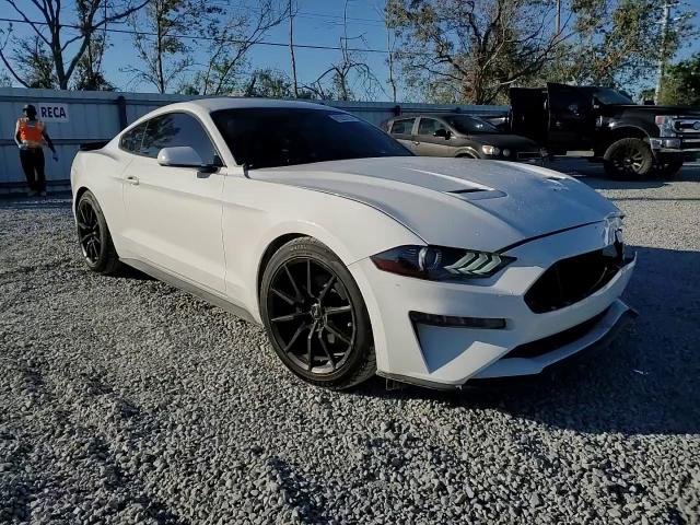 2019 Ford Mustang VIN: 1FA6P8TH5K5120281 Lot: 81223714