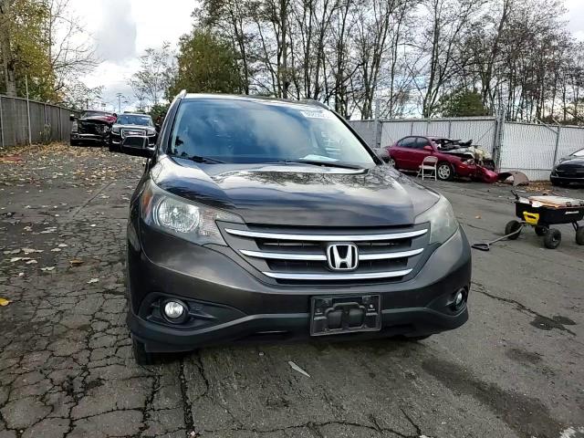 2013 Honda Cr-V Exl VIN: 5J6RM4H71DL020387 Lot: 80894294