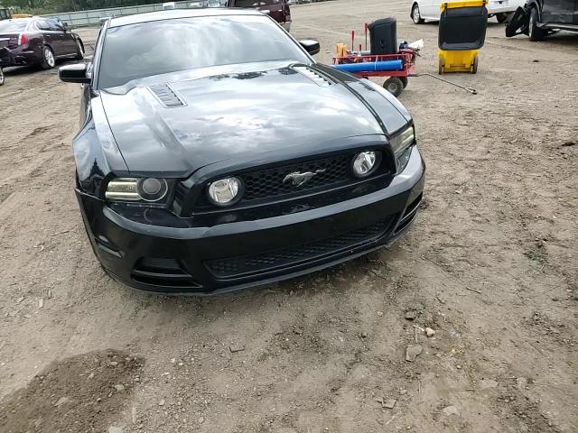 2013 Ford Mustang Gt VIN: 1ZVBP8CF6D5257026 Lot: 79561104