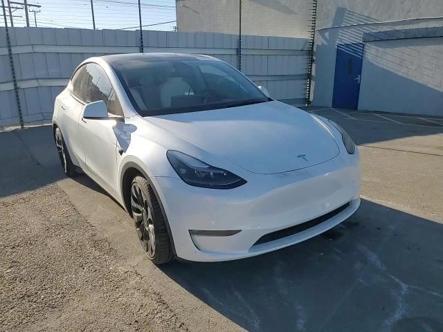 2023 Tesla Model Y VIN: 7SAYGDEF0PF597491 Lot: 81252934