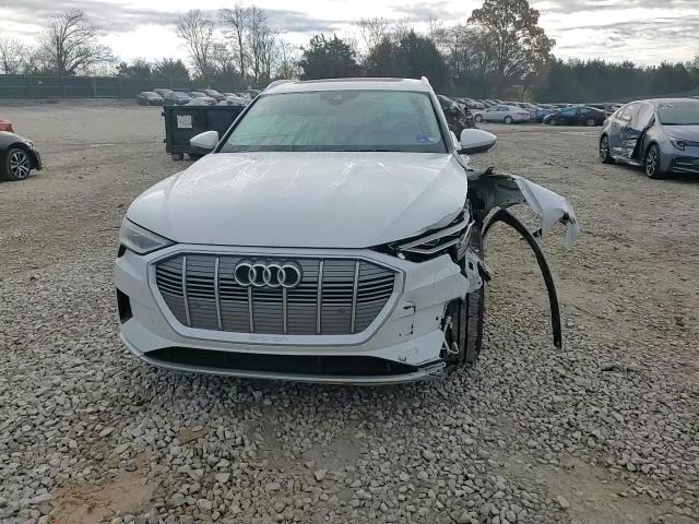 2019 Audi E-Tron Premium Plus VIN: WA1LAAGE4KB022151 Lot: 82359134