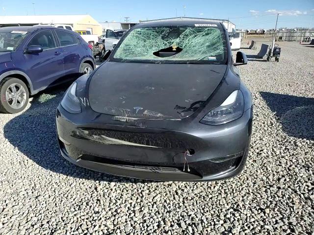 2024 Tesla Model Y VIN: 7SAYGDEEXRF177523 Lot: 93534715