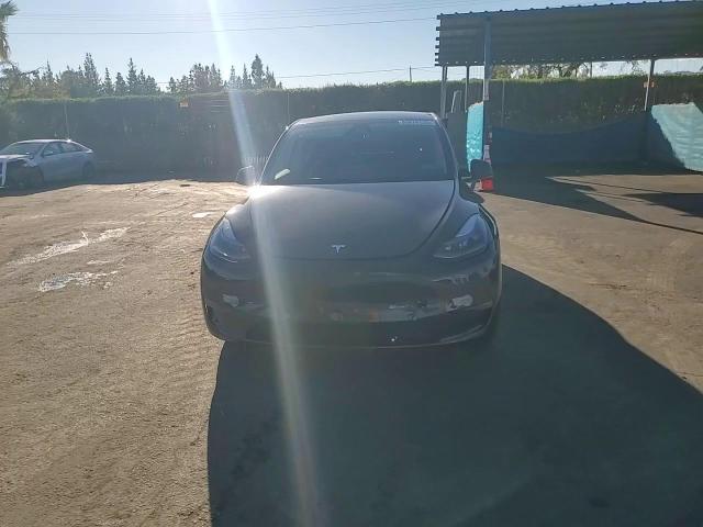 2025 Tesla Model Y VIN: 7SAYGDEF1SF259459 Lot: 93876125