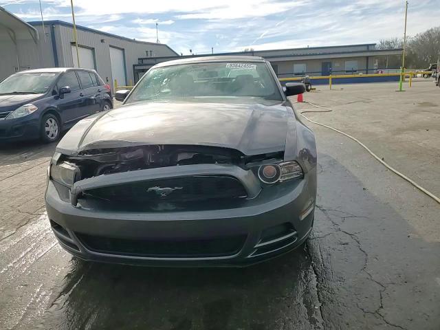 2013 Ford Mustang VIN: 1ZVBP8EM5D5211280 Lot: 93842455