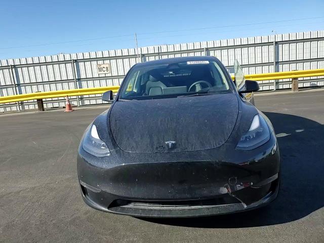 2023 Tesla Model Y VIN: 7SAYGDEFXPF911731 Lot: 94956185
