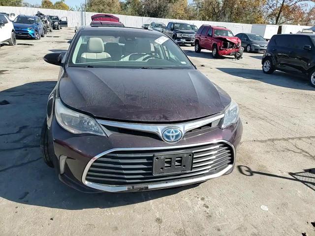 2016 Toyota Avalon Hybrid VIN: 4T1BD1EBXGU051422 Lot: 91175885
