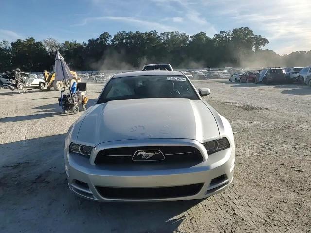 2013 Ford Mustang VIN: 1ZVBP8AM3D5218251 Lot: 91903625
