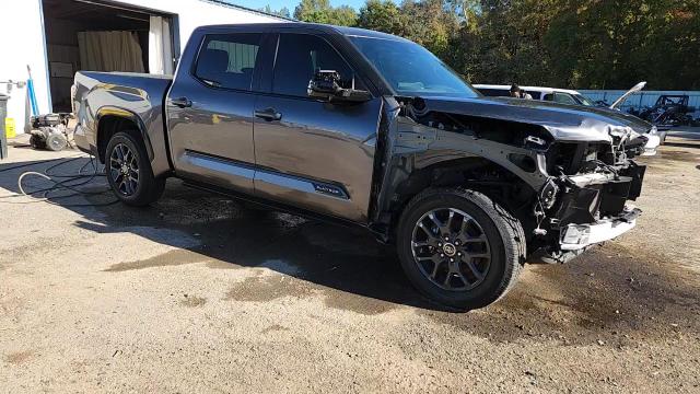 2022 Toyota Tundra Crewmax Platinum VIN: 5TFNA5AB4NX014031 Lot: 90837355