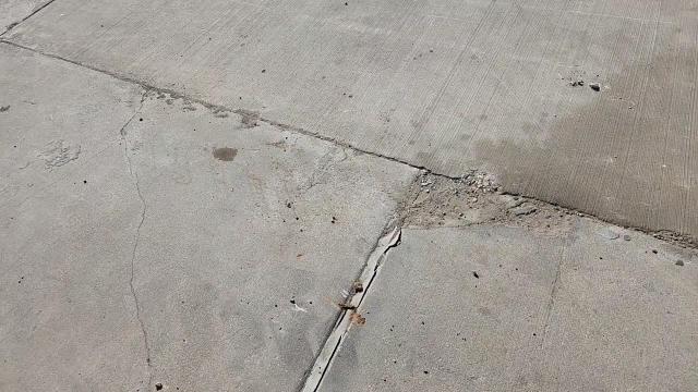 2020 Tesla Model 3 VIN: 5YJ3E1EA2LF658771 Lot: 94711785