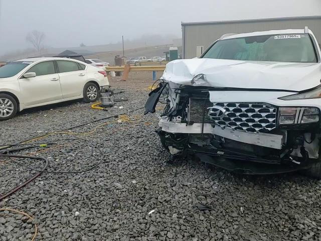 2021 Hyundai Santa Fe Sel VIN: 5NMS2DAJ3MH369779 Lot: 93517965