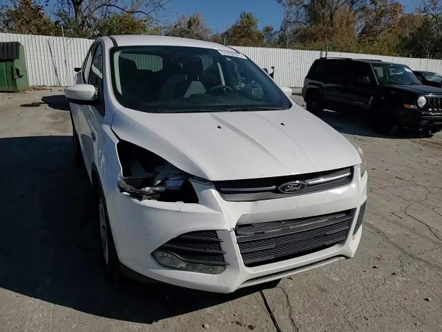 2014 Ford Escape Se VIN: 1FMCU9G97EUD19496 Lot: 91832375