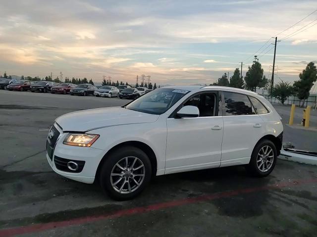 2011 Audi Q5 Premium Quattro VIN: WA1CFAFP7BA042064 Lot: 91872525